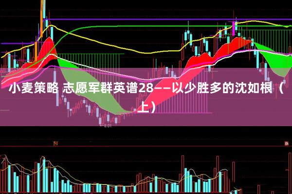 小麦策略 志愿军群英谱28——以少胜多的沈如根（上）